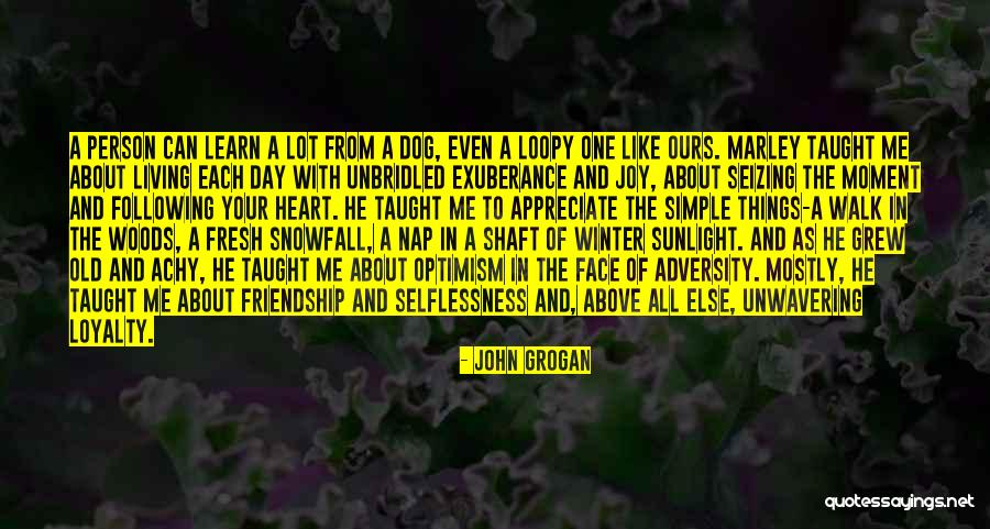 Appreciate The Simple Things In Life Quotes By John Grogan