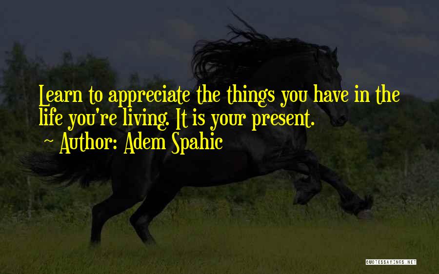 Appreciate The Things Quotes By Adem Spahic