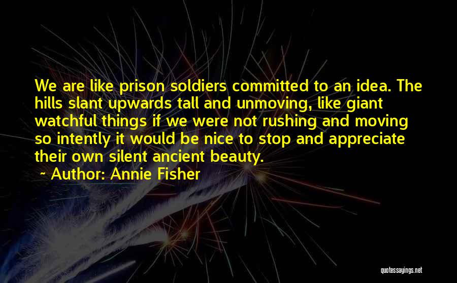 Appreciate The Things Quotes By Annie Fisher