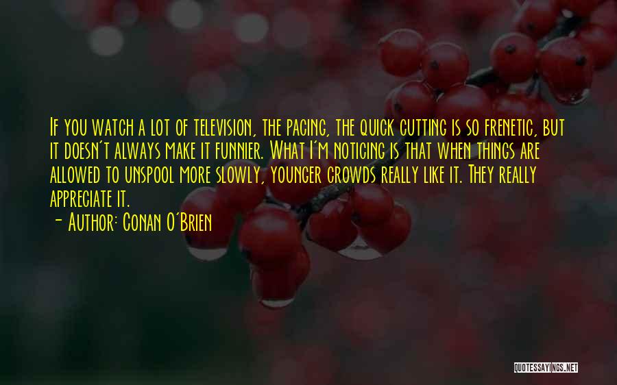 Appreciate The Things Quotes By Conan O'Brien