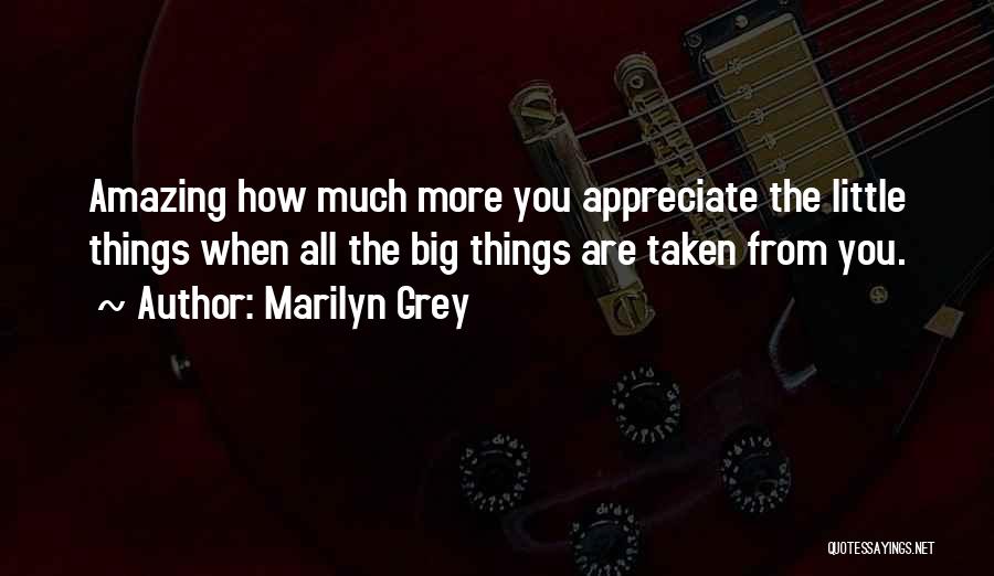 Appreciate The Things Quotes By Marilyn Grey