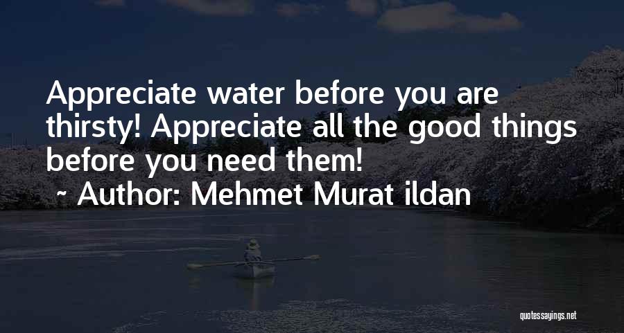 Appreciate The Things Quotes By Mehmet Murat Ildan