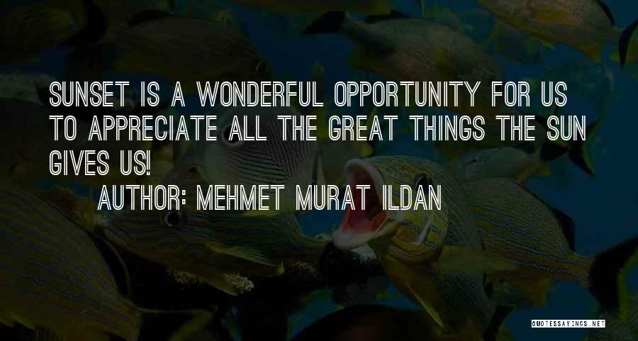 Appreciate The Things Quotes By Mehmet Murat Ildan