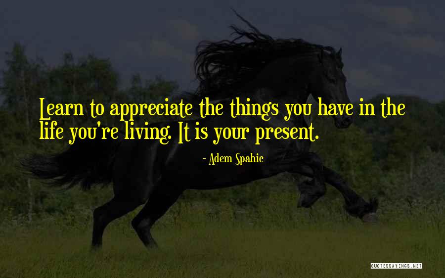 Appreciate Things In Life Quotes By Adem Spahic