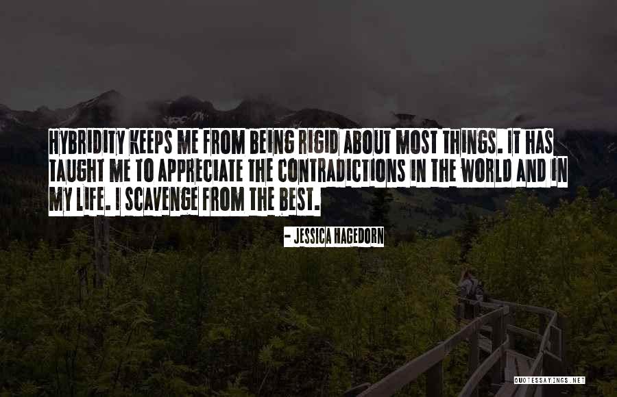 Appreciate Things In Life Quotes By Jessica Hagedorn