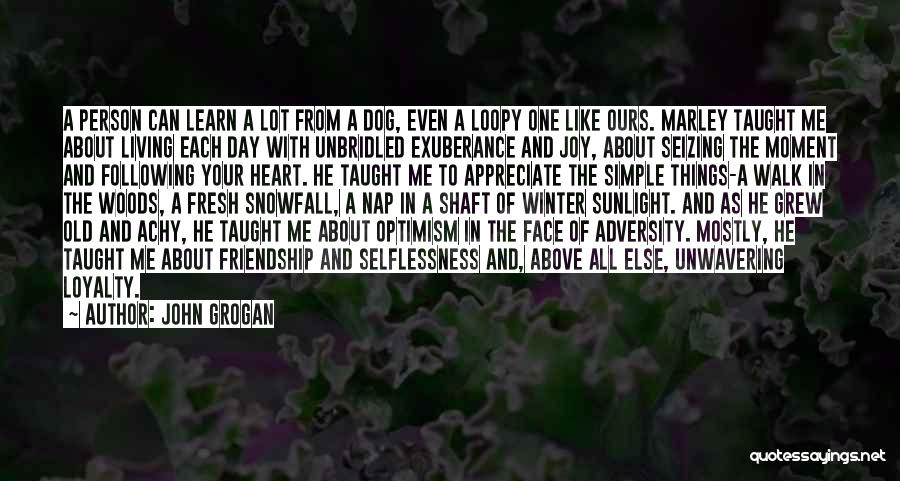 Appreciate Things In Life Quotes By John Grogan