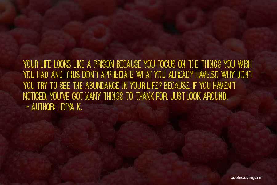 Appreciate Those Around You Quotes By Lidiya K.