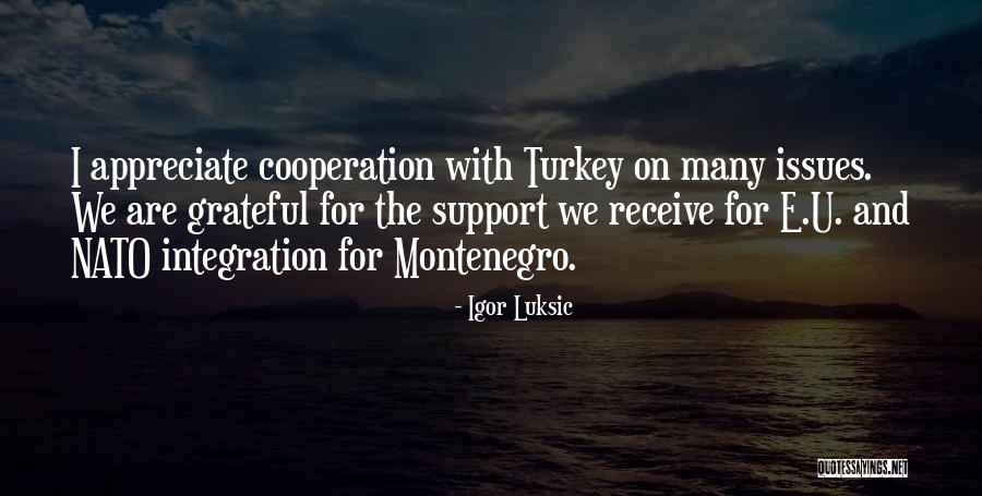 Appreciate U Quotes By Igor Luksic Appreciate U Quotes By Igor Luksic