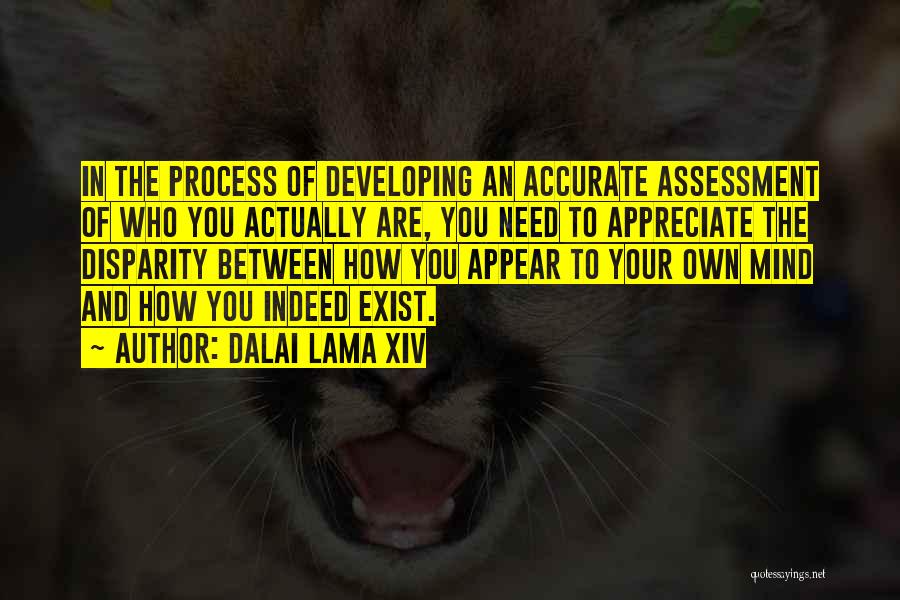 Appreciate Who You Are Quotes By Dalai Lama XIV