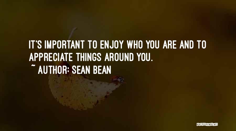 Appreciate Who You Are Quotes By Sean Bean