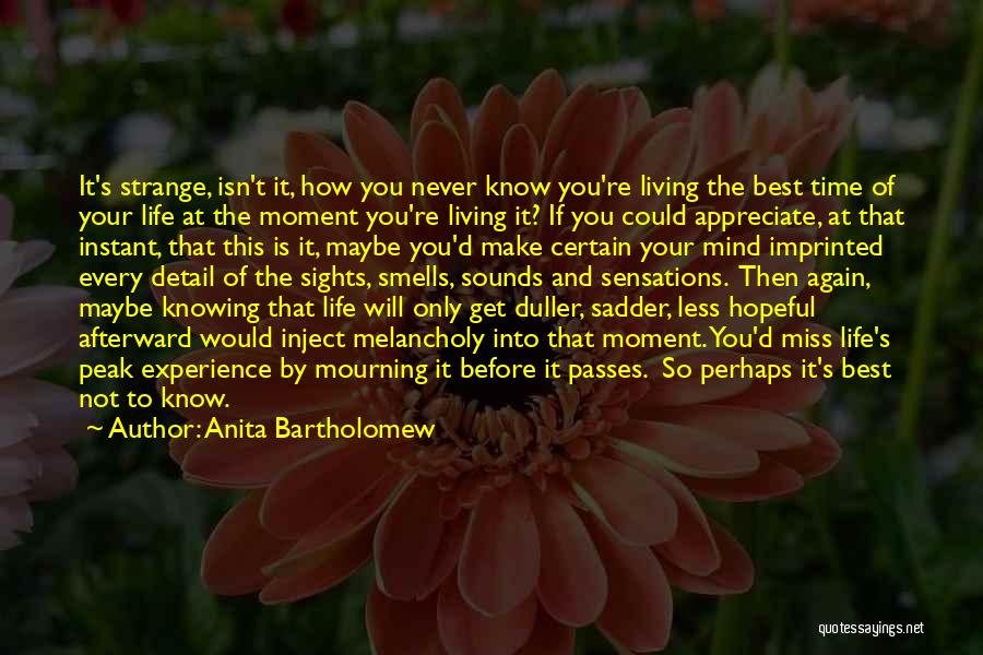 Appreciate You Have Before It Gone Quotes By Anita Bartholomew