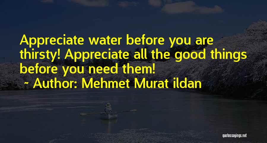 Appreciate You Have Before It Gone Quotes By Mehmet Murat Ildan