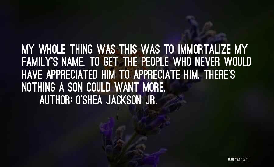 Appreciate Your Family Quotes By O'Shea Jackson Jr.
