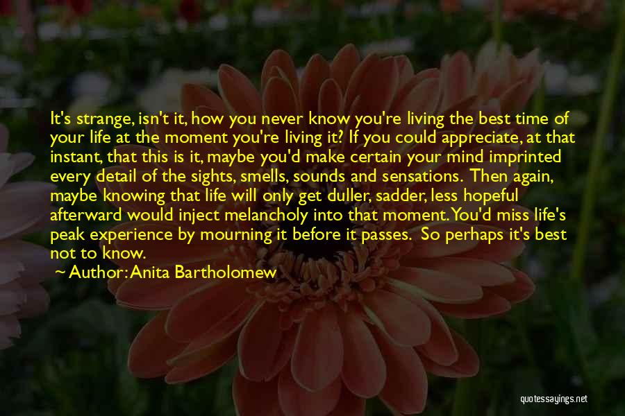 Appreciate Your Life Quotes By Anita Bartholomew