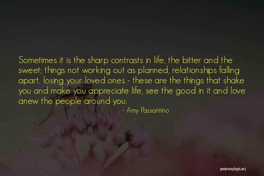 Appreciate Your Loved Ones Quotes By Amy Passantino