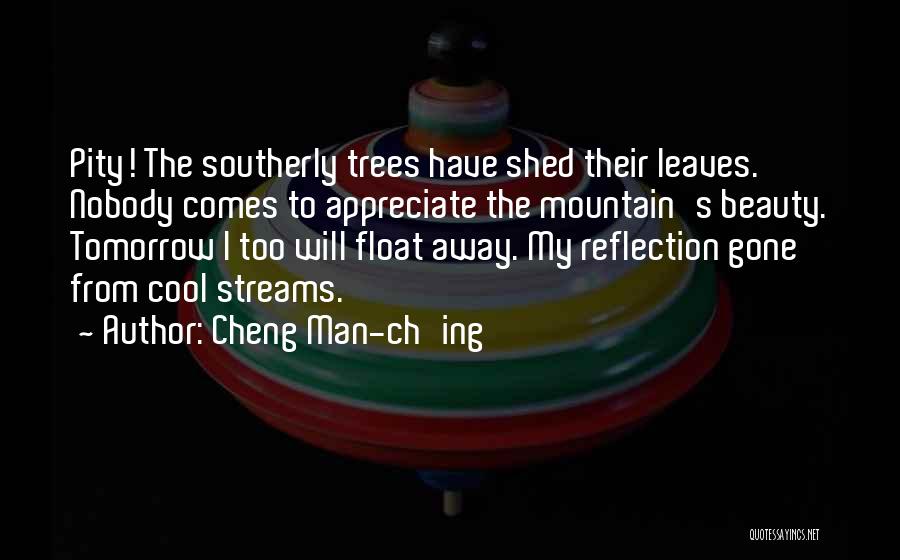 Appreciate Your Man Quotes By Cheng Man-ch'ing