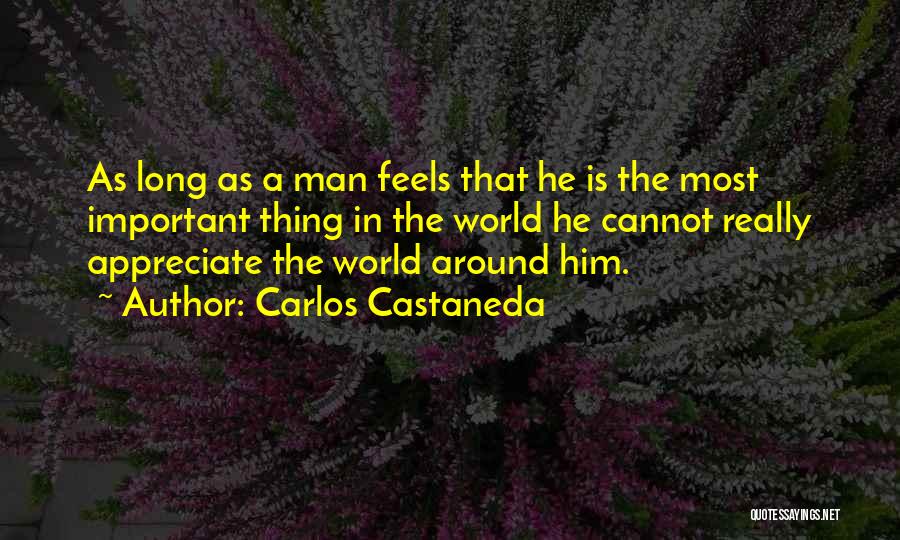 Appreciate Yourself For Who You Are Quotes By Carlos Castaneda