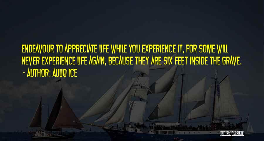 Appreciating What You Do Have Quotes By Auliq Ice