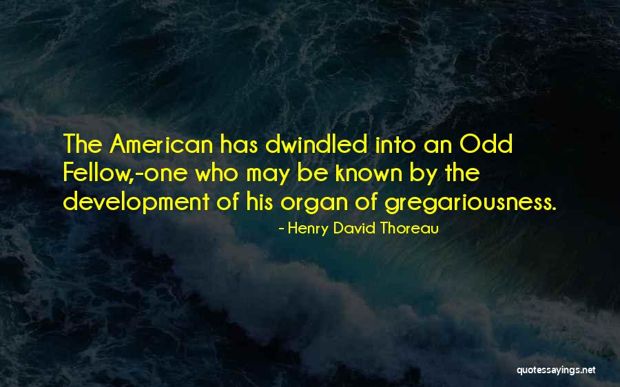 Appreciating Your Girlfriend Quotes By Henry David Thoreau Appreciating Your Girlfriend Quotes By Henry David Thoreau