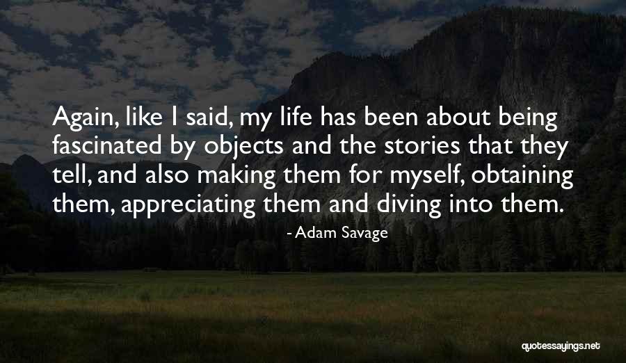 Appreciating Your Life Quotes By Adam Savage