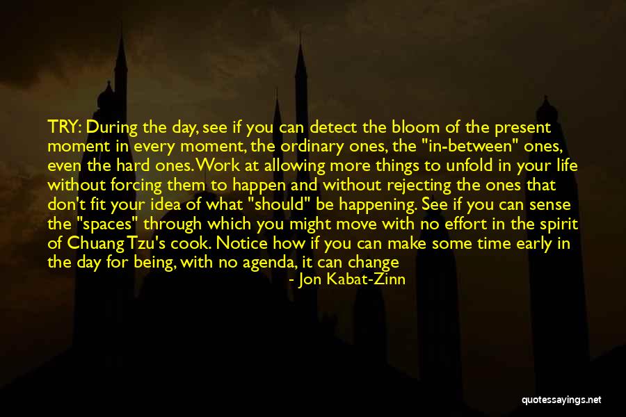 Appreciating Your Life Quotes By Jon Kabat-Zinn Appreciating Your Life Quotes By Jon Kabat-Zinn