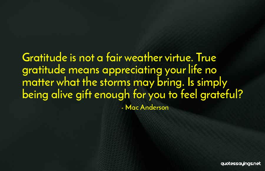 Appreciating Your Life Quotes By Mac Anderson