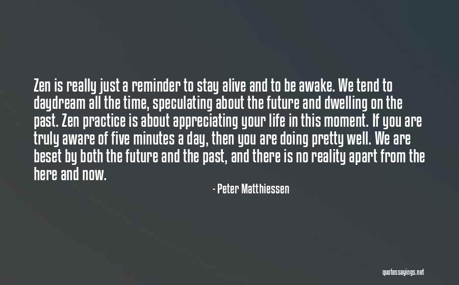 Appreciating Your Life Quotes By Peter Matthiessen