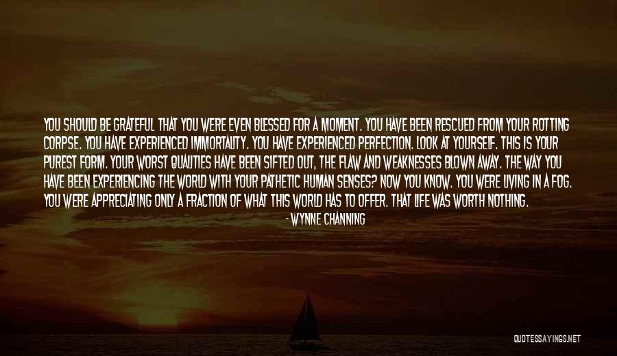 Appreciating Your Life Quotes By Wynne Channing