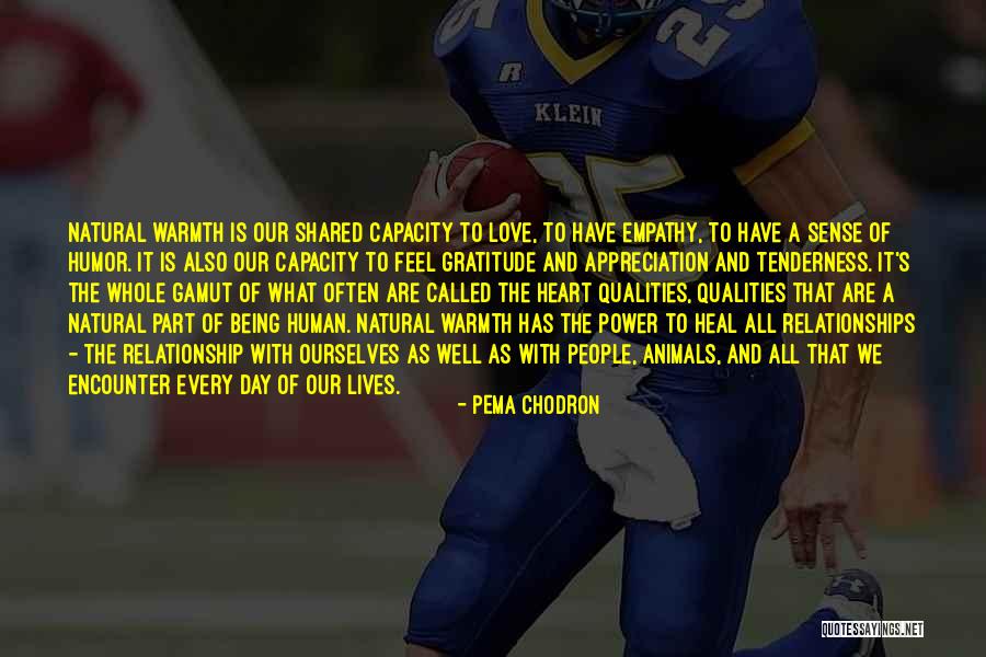 Appreciation Of Love Quotes By Pema Chodron Appreciation Of Love Quotes By Pema Chodron