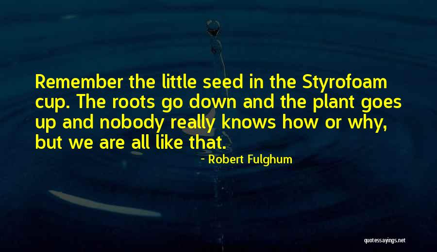 Apprehensive Antonym Quotes By Robert Fulghum Apprehensive Antonym Quotes By Robert Fulghum