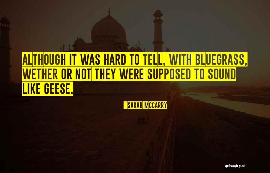 Apprenticed To Venus Quotes By Sarah McCarry Apprenticed To Venus Quotes By Sarah McCarry