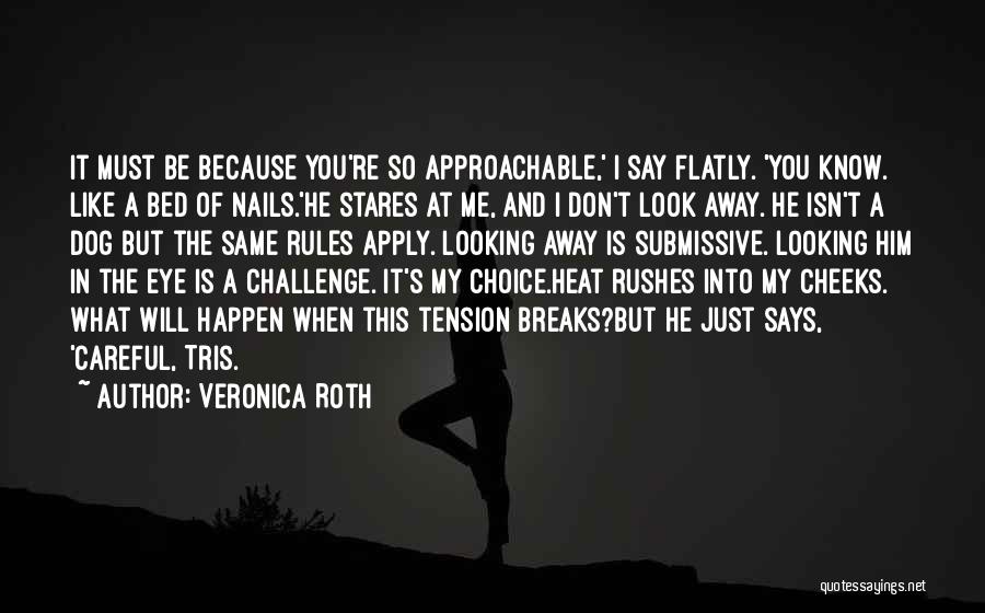 Approachable Quotes By Veronica Roth