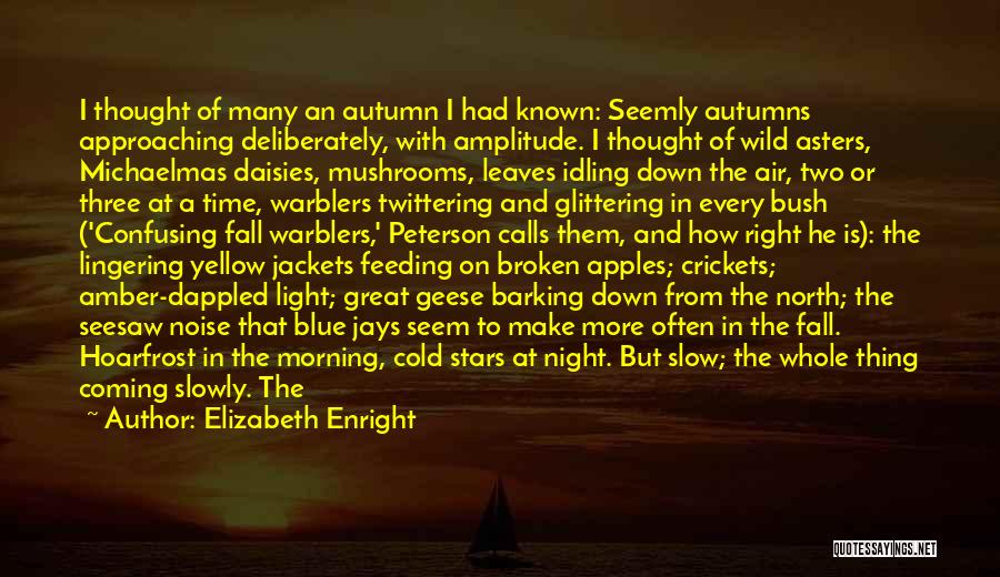 Approaching Fall Quotes By Elizabeth Enright