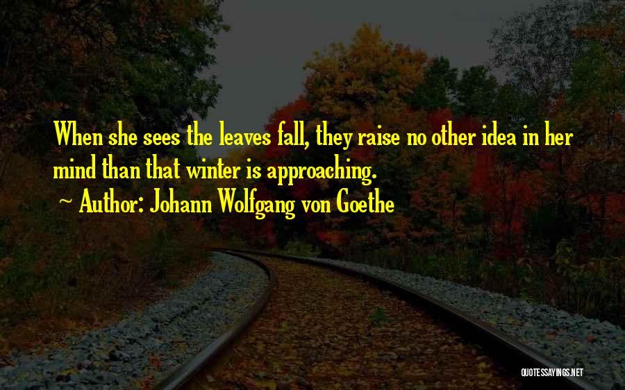 Approaching Fall Quotes By Johann Wolfgang Von Goethe