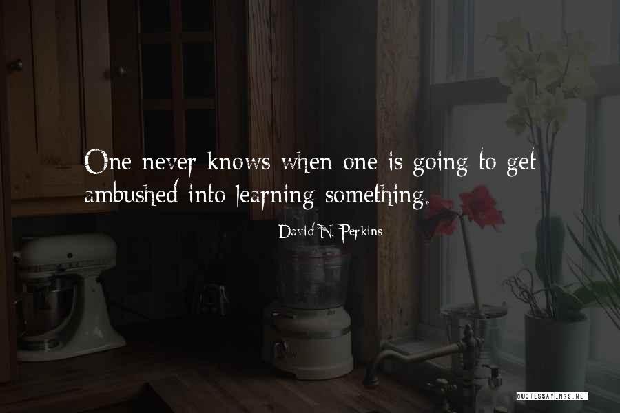 Approfittare In Inglese Quotes By David N. Perkins Approfittare In Inglese Quotes By David N. Perkins