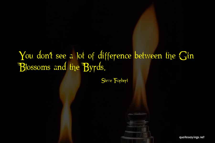 Approfondissement Bafa Quotes By Steve Forbert Approfondissement Bafa Quotes By Steve Forbert