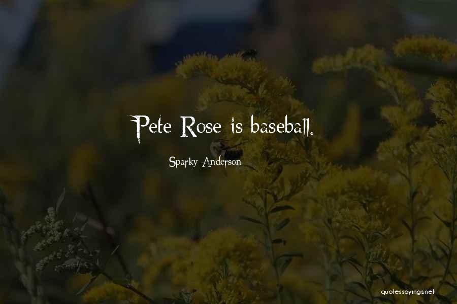 Appropriability Theory Quotes By Sparky Anderson Appropriability Theory Quotes By Sparky Anderson