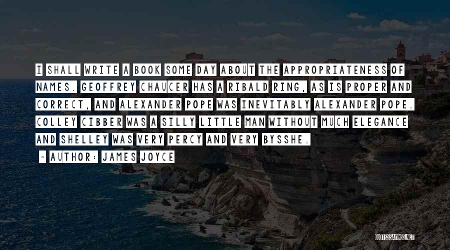 Appropriateness Quotes By James Joyce