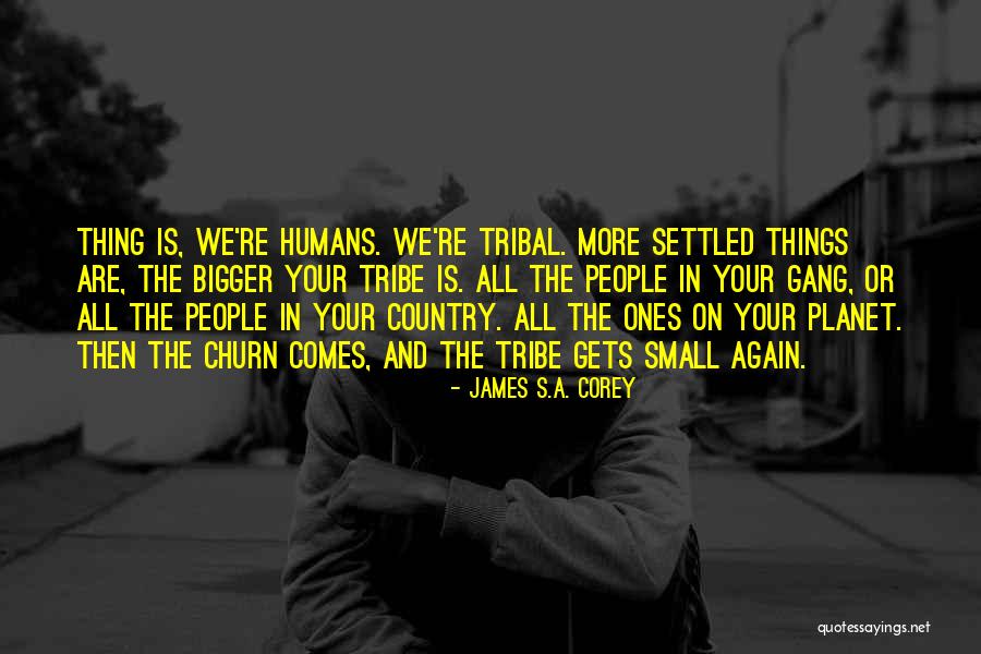 Approssimatamente Quotes By James S.A. Corey
