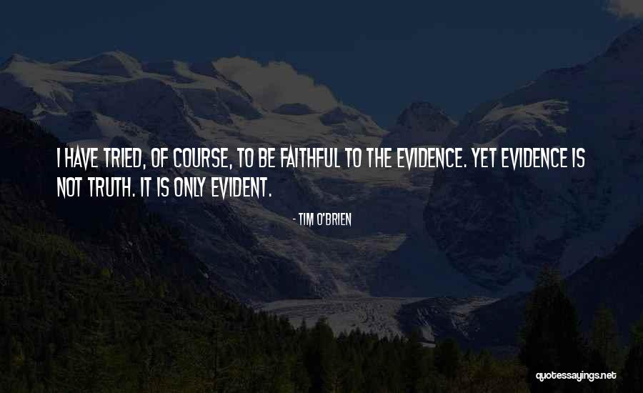 Approssimatamente Quotes By Tim O'Brien