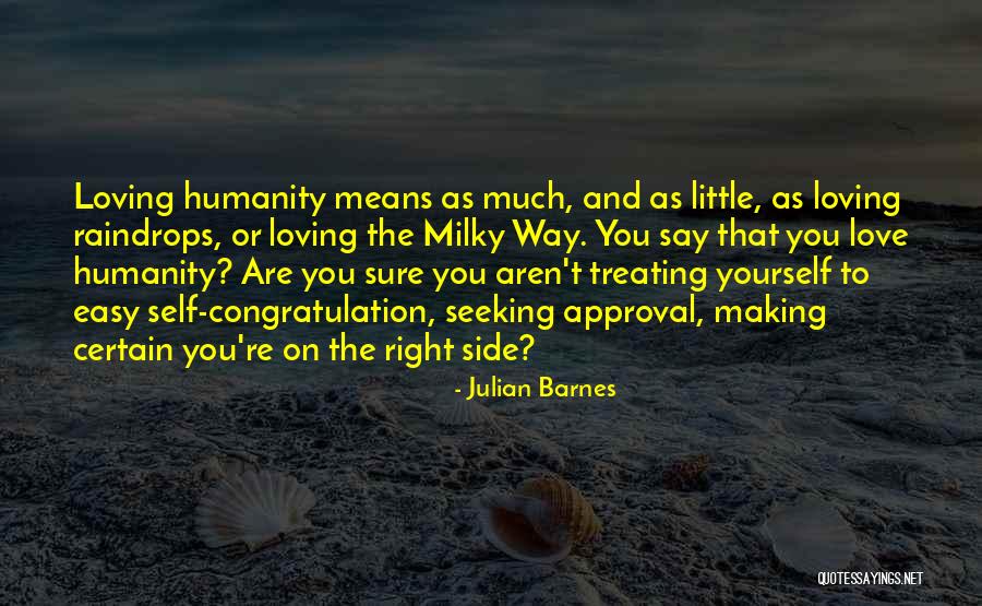 Approval Seeking Quotes By Julian Barnes