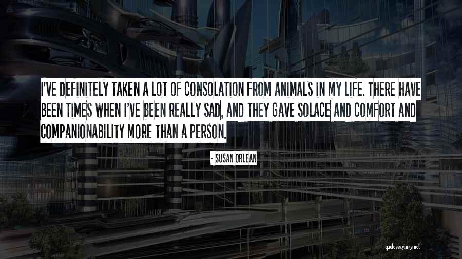 Appunti In Inglese Quotes By Susan Orlean Appunti In Inglese Quotes By Susan Orlean