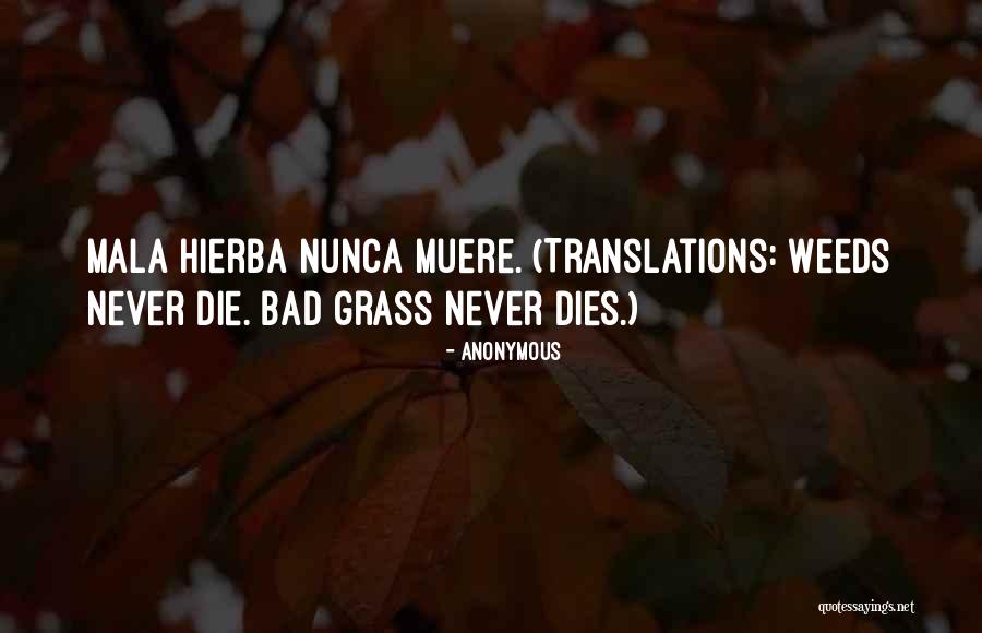 Apreciar Definicion Quotes By Anonymous Apreciar Definicion Quotes By Anonymous