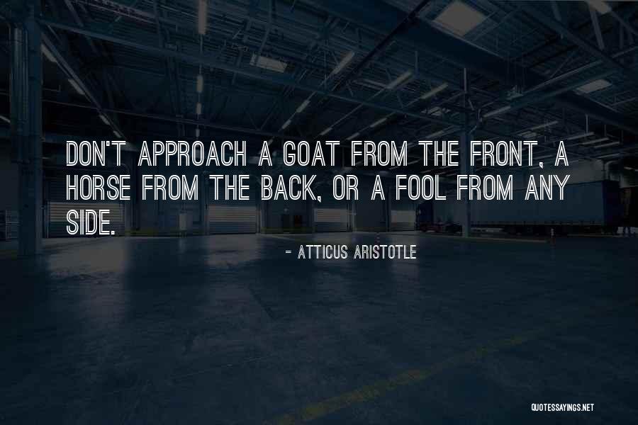 Apremio In English Quotes By Atticus Aristotle Apremio In English Quotes By Atticus Aristotle