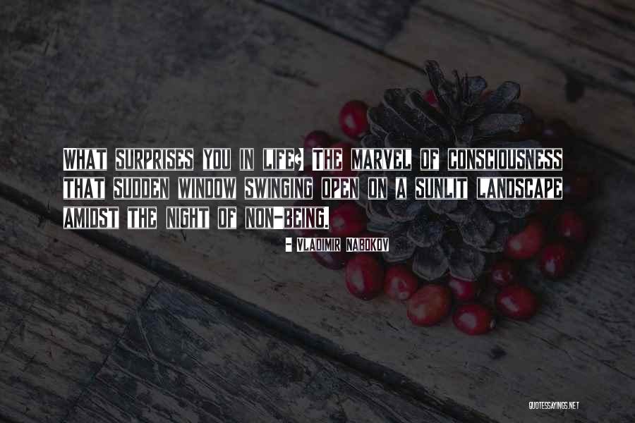Aprendiz De Brujo Quotes By Vladimir Nabokov Aprendiz De Brujo Quotes By Vladimir Nabokov