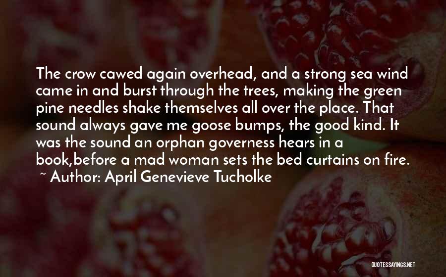 April Genevieve Tucholke Quotes 771466