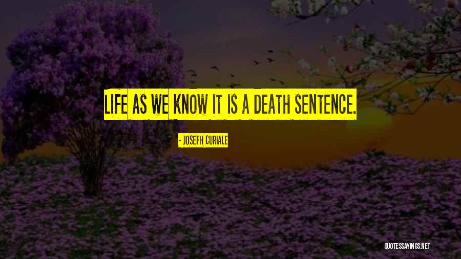 Aprire Italian Quotes By Joseph Curiale Aprire Italian Quotes By Joseph Curiale