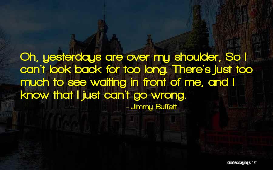 Aprofunda Engleza Quotes By Jimmy Buffett Aprofunda Engleza Quotes By Jimmy Buffett