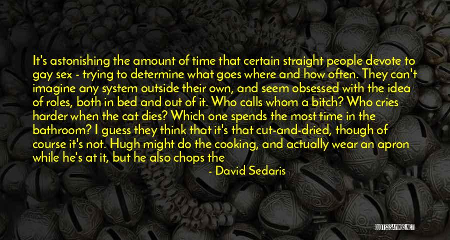 Apron Quotes By David Sedaris