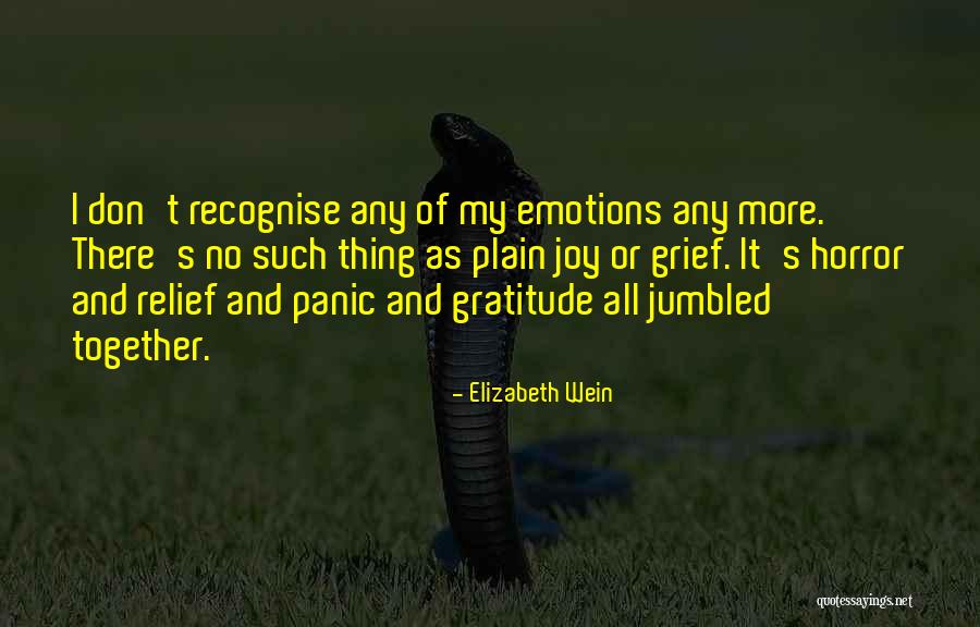 Apropiado Significado Quotes By Elizabeth Wein Apropiado Significado Quotes By Elizabeth Wein